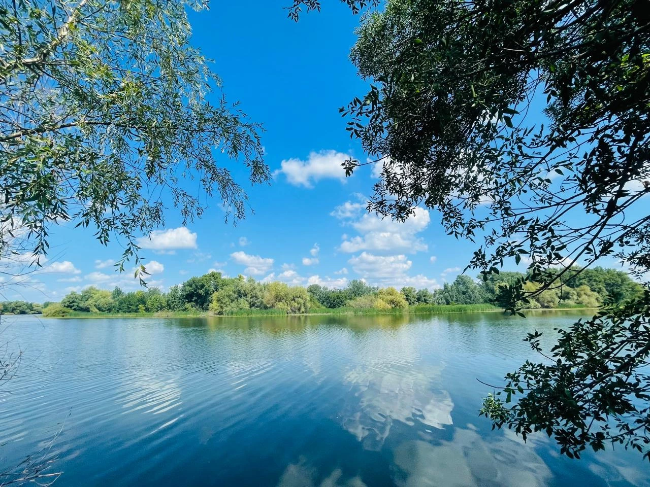 Сильную жару прогнозируют на западе Казахстана 21 августа